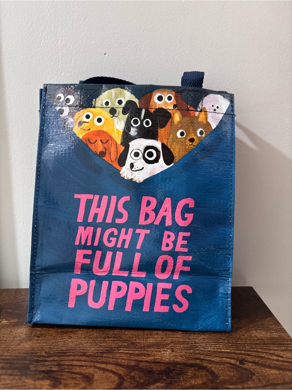 BlueQ Recycled 'This Bag Might Be Full of Puppies' Reusable Tote Bag - Small